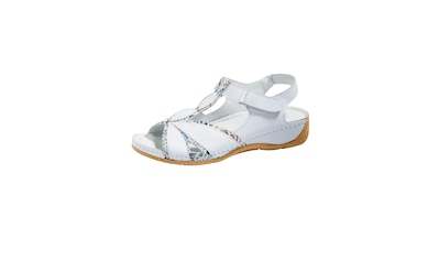 Die Zusammenfassung der favoritisierten Naturläufer pumps