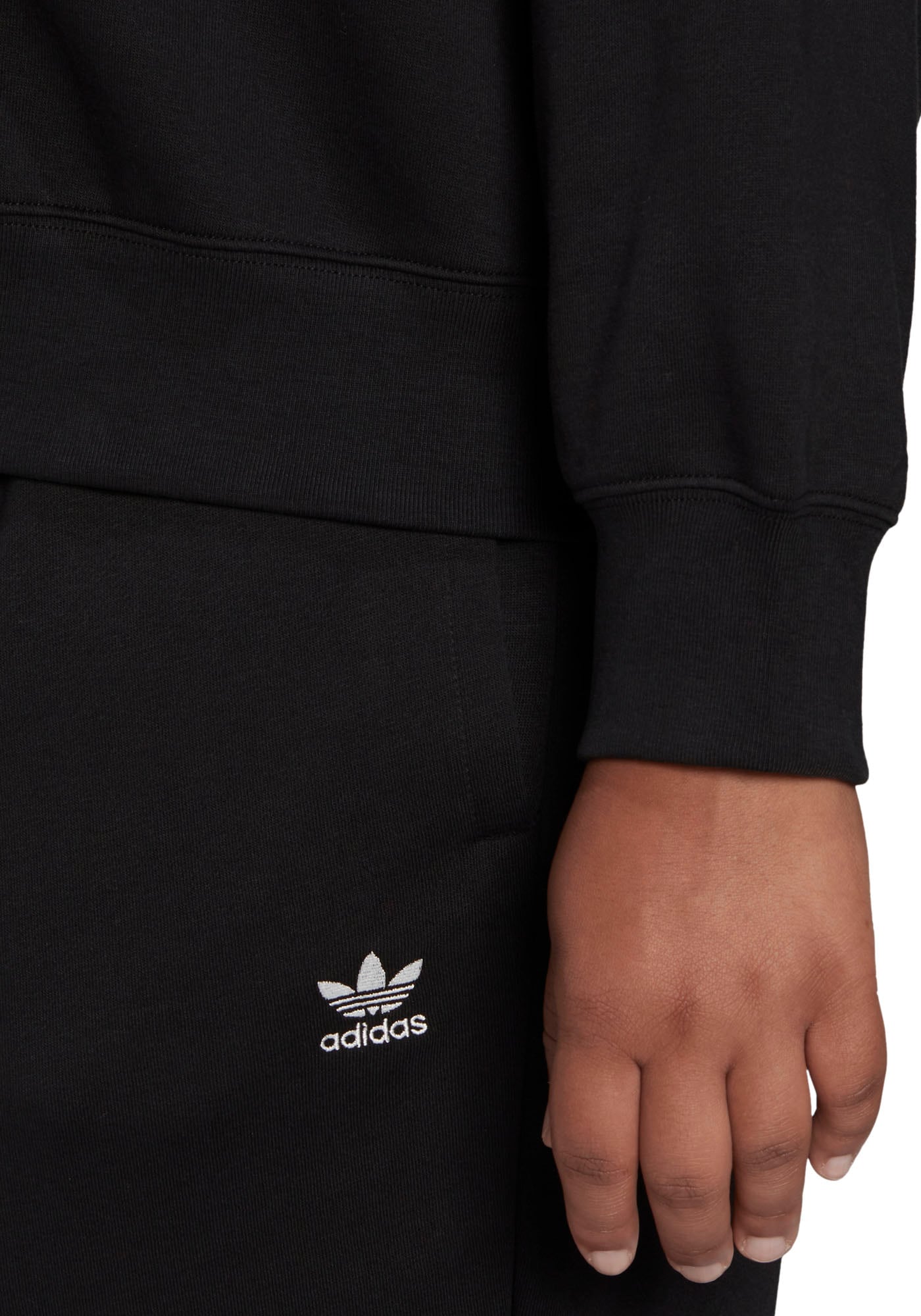 adidas Originals Sweatshirt »ADICOLOR ESSENTIALS – GRÖSSEN« online GROSSE