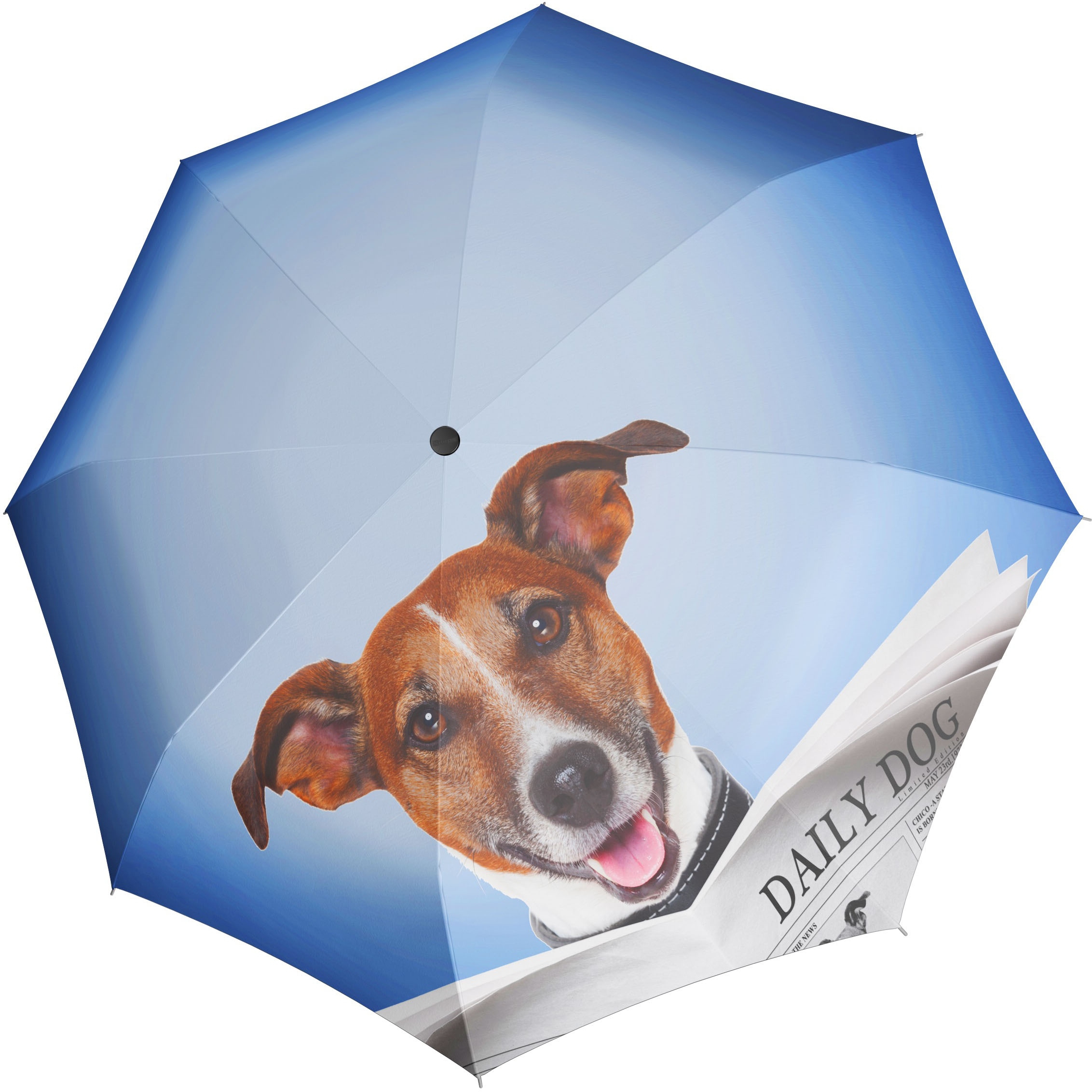 online Stockregenschirm I\'m Dog« Automatik, Lang doppler® Daily walking | »Modern kaufen Art