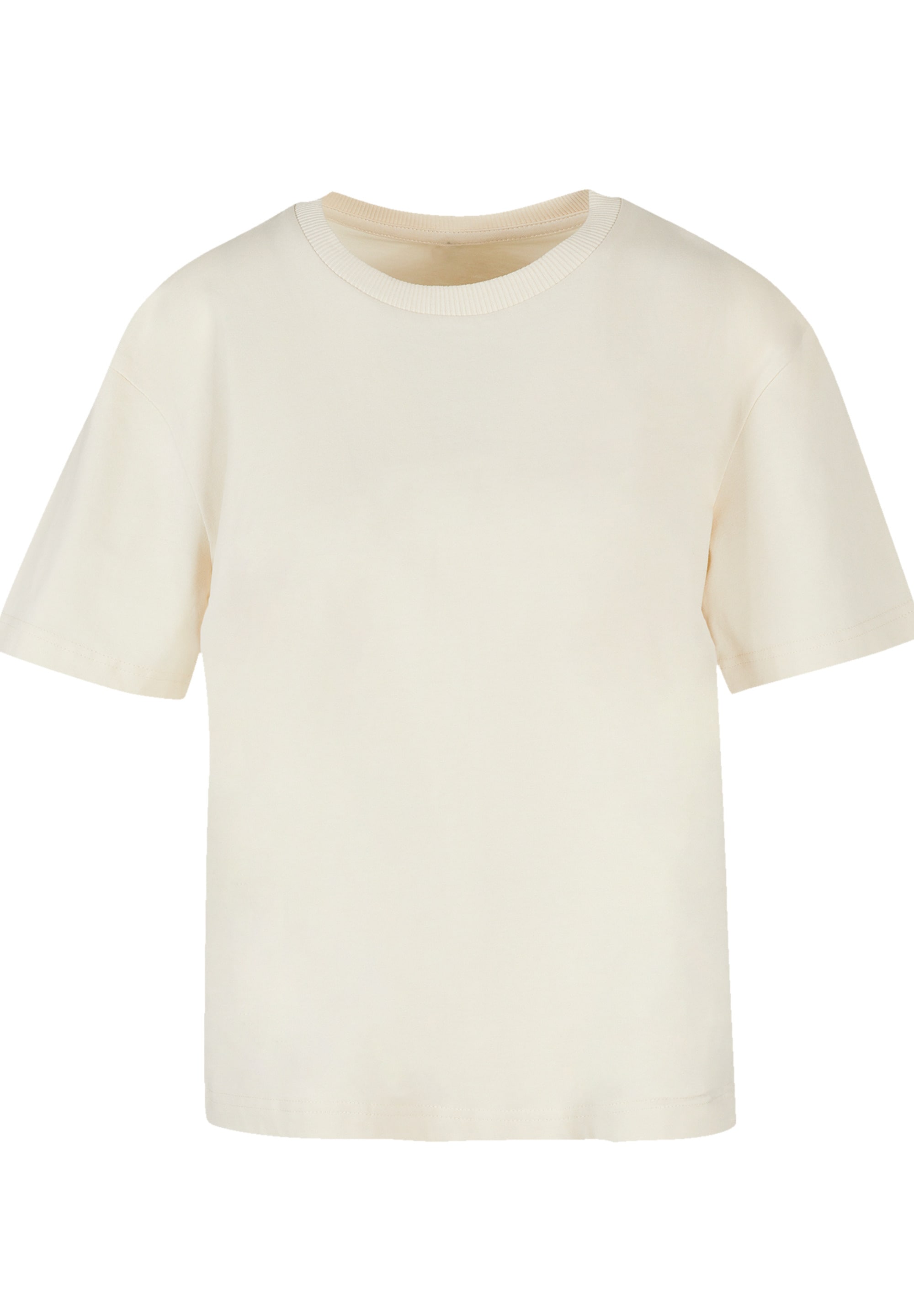»Bora Leewards T-Shirt Island«, Print F4NT4STIC Bora kaufen