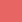 rot rot