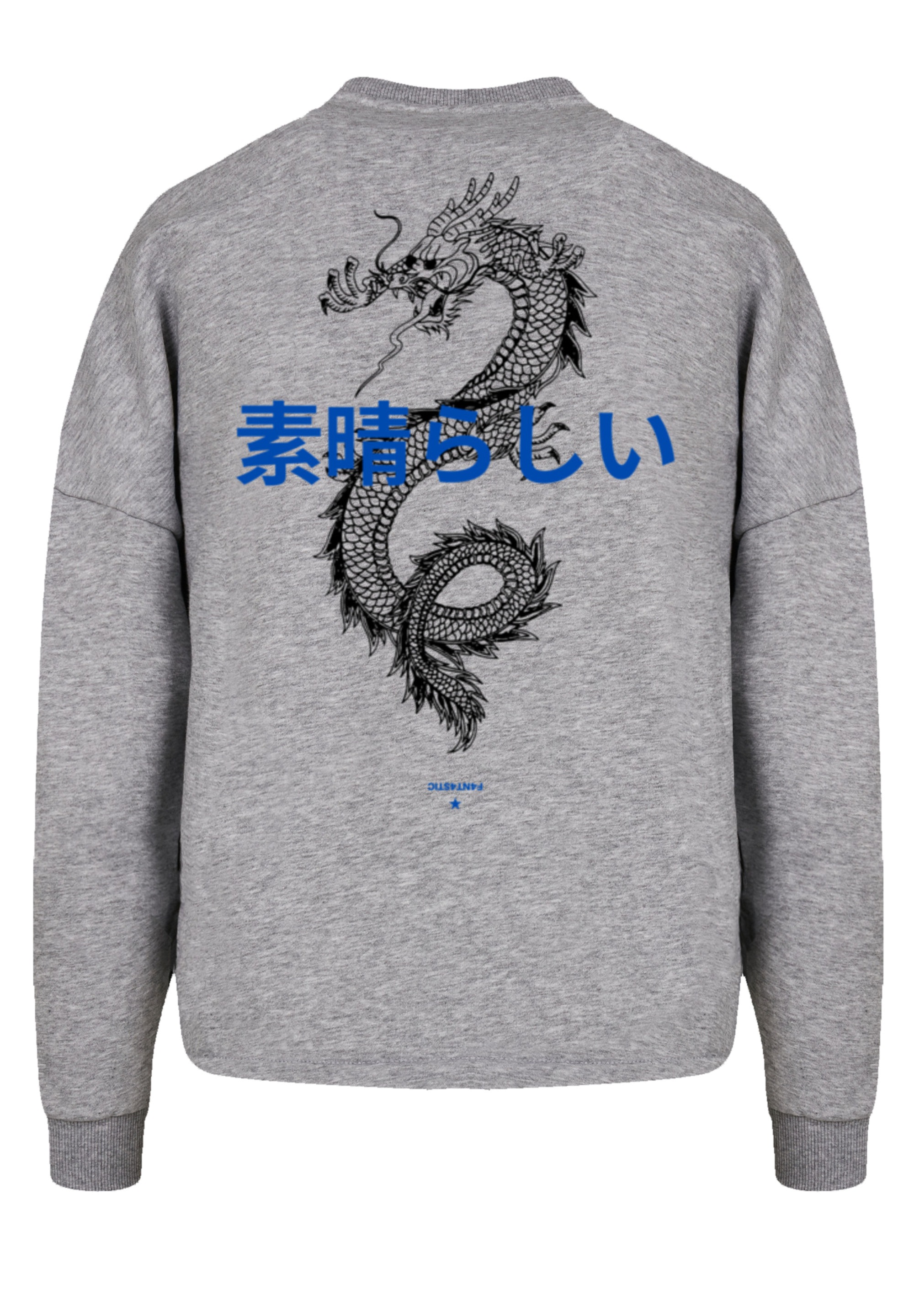 Sweatshirt bestellen Print »Dragon«, F4NT4STIC