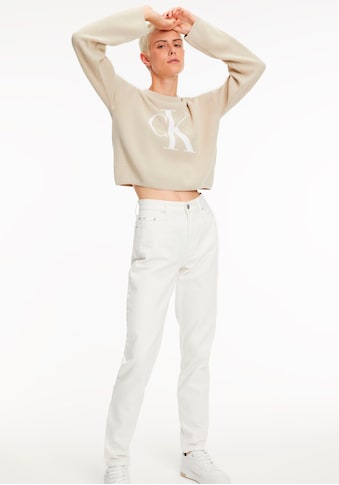 Calvin Klein Jeans Mom-Jeans, mit hohem Bund im 5-Pocket-Style kaufen