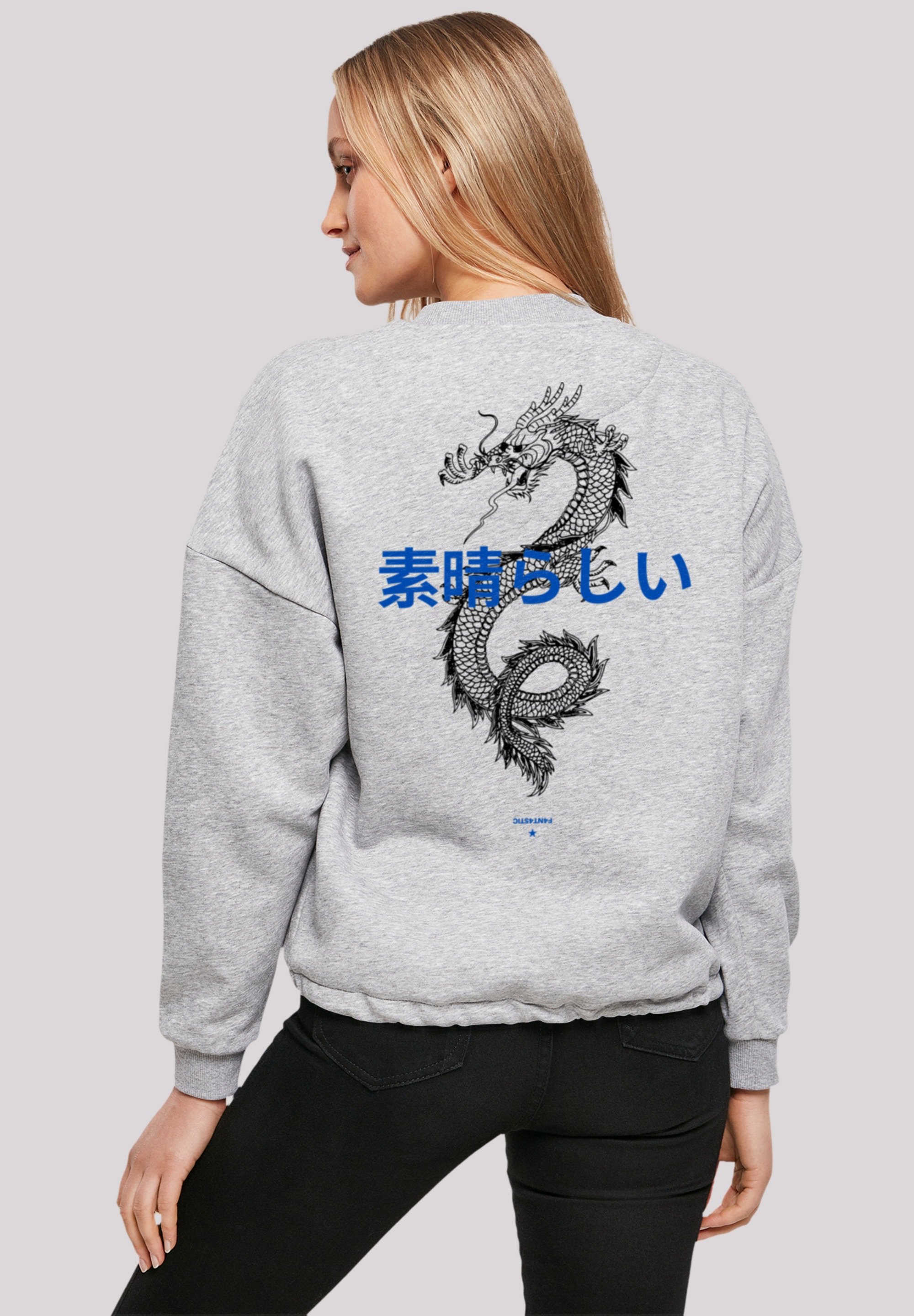 bestellen Sweatshirt F4NT4STIC Print »Dragon«,