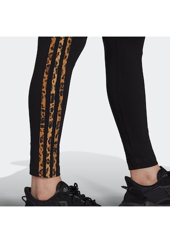 adidas Originals Leggings »3 STRIPES TIGHT« kaufen